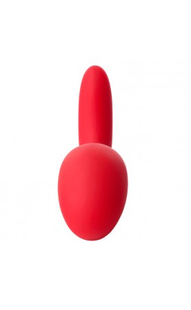 Aneros EVI GSpot And Clitoral Massager