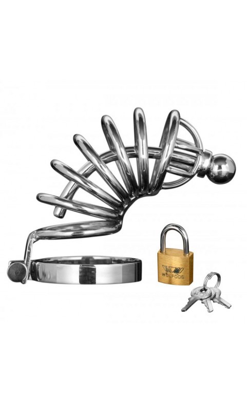 Asylum 6 Ring Locking Chastity Cage