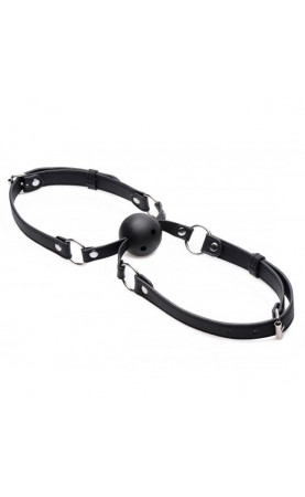 Strict Double Mouth Gag