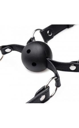 Strict Double Mouth Gag