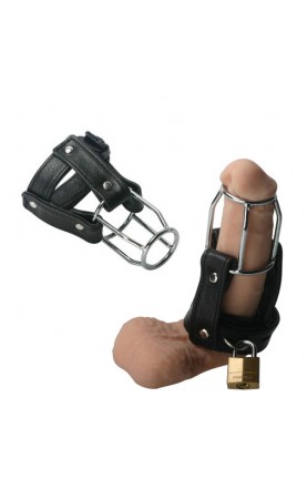 Strict Leather Stallion Guard