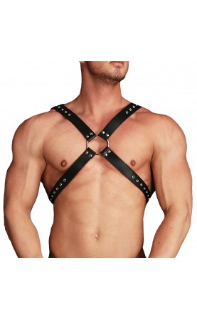 Ouch Adonis High Halter Harness