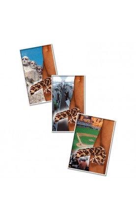 The Tuggie Fuzzy Cock Sock