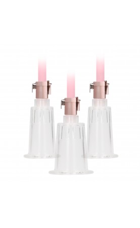 Pumped Clitoral and Nipple Pump Set