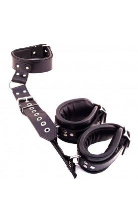 Rouge Garments Black Leather Neck to Wrist Restraints