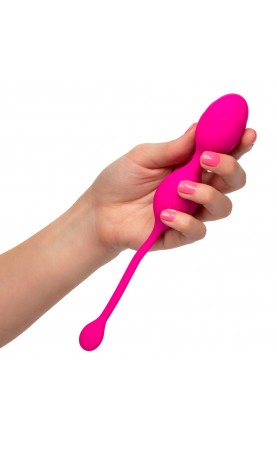 Remote Control Dual Motor Kegel System
